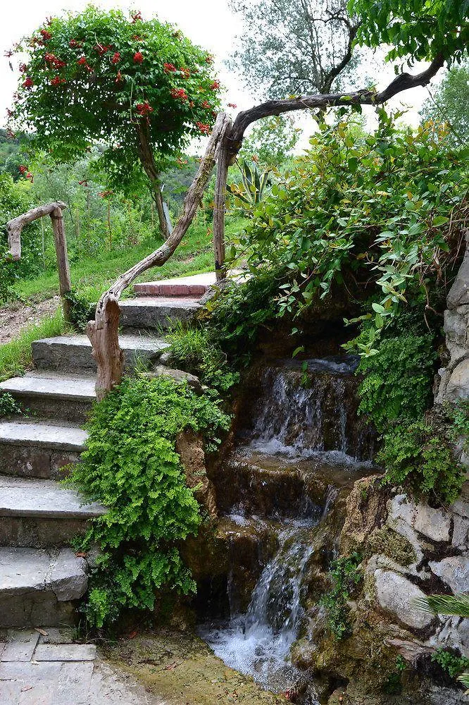Roina B&B Le Brede לינה וארוחת בוקר